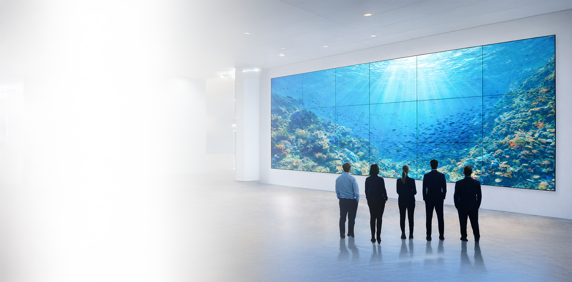 Profesyonel Ses ve Görüntüleme Sistemleri